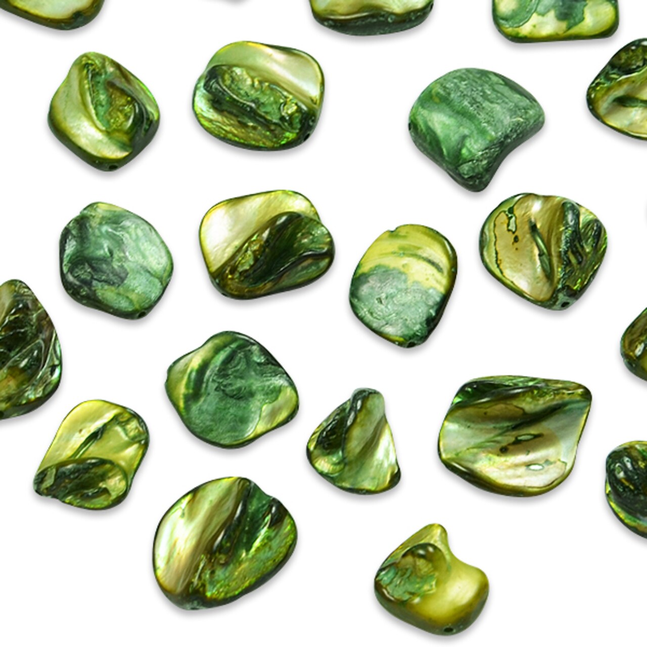 Sea Shell Chunky Beads 12mm-18mm on 16" Strand (20-22 bds) Oliv
